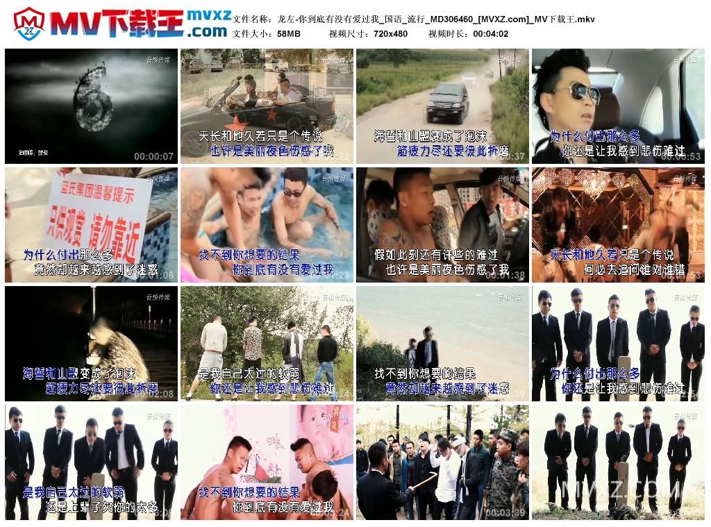 龙左-你到底有没有爱过我_国语_流行_MD306460